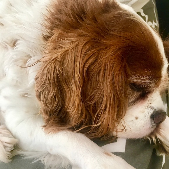 Meet The Posher !! 🌸🎀💍 - Picture 12 of 16